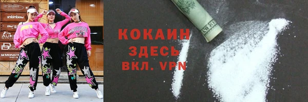хмурый Арсеньев