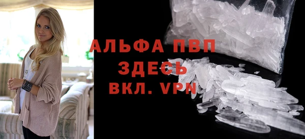 хмурый Арсеньев