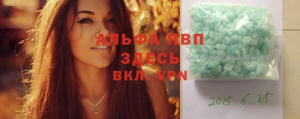 хмурый Арсеньев