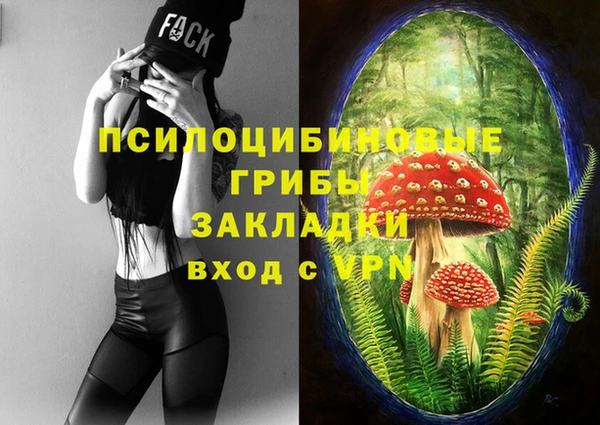 ГАЛЛЮЦИНОГЕННЫЕ ГРИБЫ Баксан