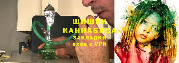 хмурый Арсеньев