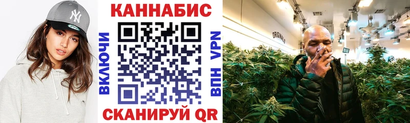 Конопля план  Купить где  Нерчинск 